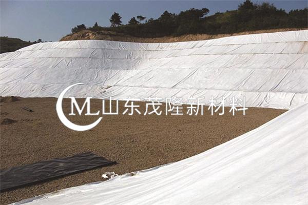 《陽(yáng)江港進(jìn)港航道改造工程項(xiàng)目》土工布施工